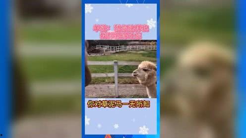 娱乐吃瓜场地有哪些,热门吃瓜场地大盘点