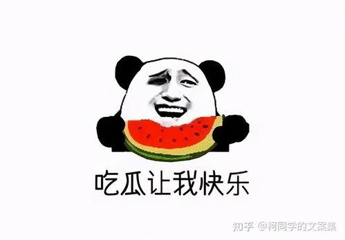 娱乐吃瓜酱不要慌,轻松应对娱乐圈风云变幻