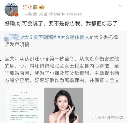 娱乐吃瓜 汪小菲是谁呀,汪小菲的星光之路与吃瓜热议