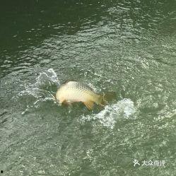 娱乐吃瓜钓鱼视频大全,全网热门娱乐吃瓜钓鱼视频大盘点